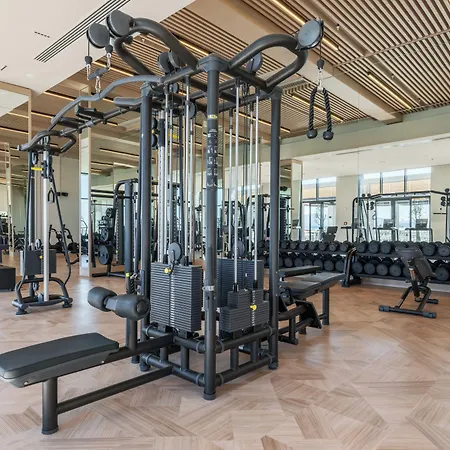 Anda Barut Collection 디딤