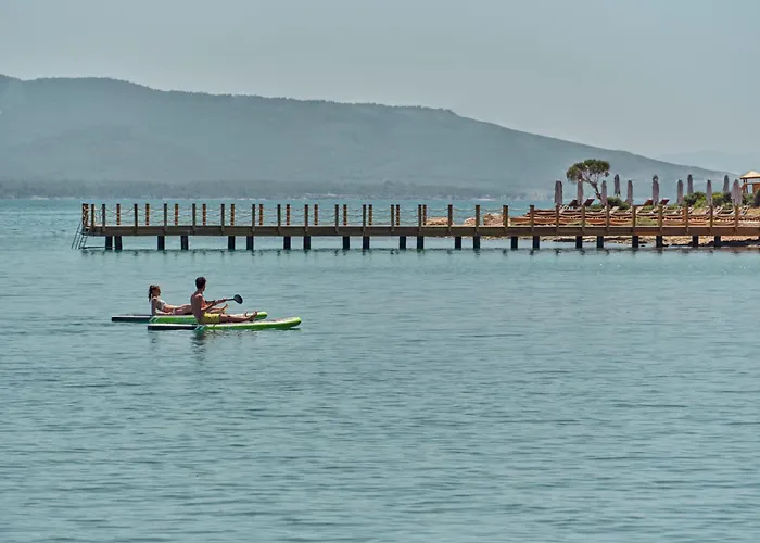 Anda Barut Collection ديديم