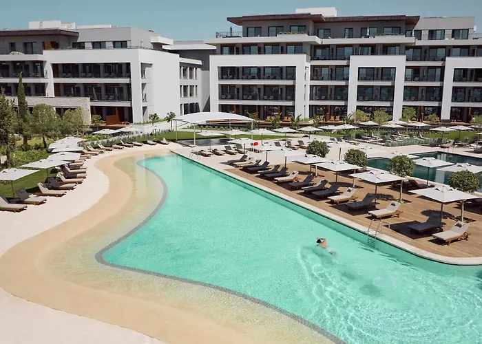 Anda Barut Collection ديديم