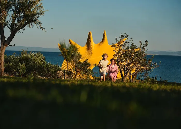 Anda Barut Collection ديديم